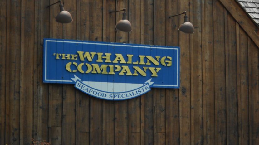 whalink company